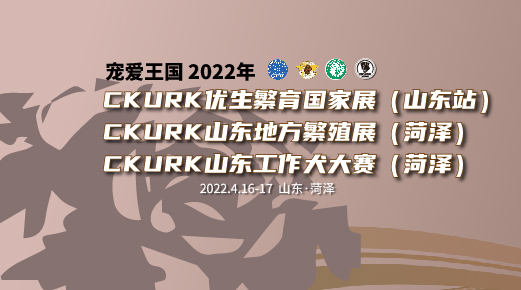 宠爱王国2022年CKURK优生繁育国家展（山东站）、山东地方繁殖展（菏泽）、 山东工作大赛报名