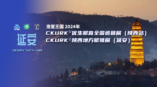 宠爱王国2024年CKURK®优生繁育全国巡回展（陕西站）、陕西地方繁殖展（延安）、指导手培训