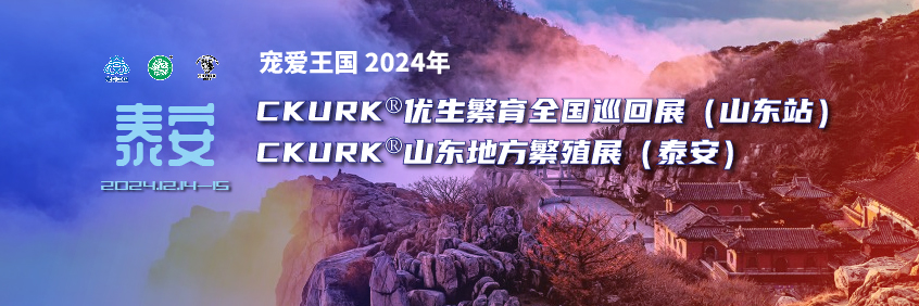 宠爱王国2024年CKURK®优生繁育全国巡回展（山东站）、山东地方繁殖展（泰安）报名通知