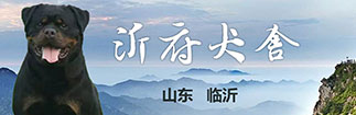 沂府犬舍