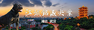 江城铭威犬舍
