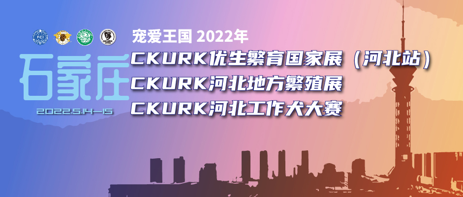 宠爱王国2022年CKURK优生繁育国家展(河北站)、河北地方繁殖展(石家庄)、 河北工作大赛
