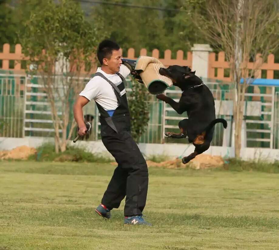莫文斌