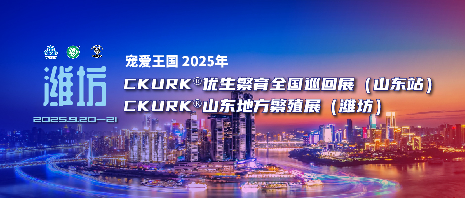 宠爱王国2025年CKURK®优生繁育全国巡回展（山东站）、山东地方繁殖展（潍坊）报名通知