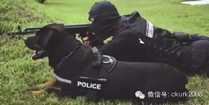 图片 4.jpg 图片 4.jpg