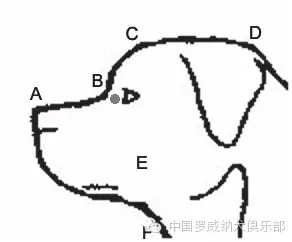 图片 6.jpg 图片 6.jpg