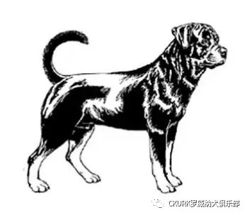 图片 13.jpg 图片 13.jpg